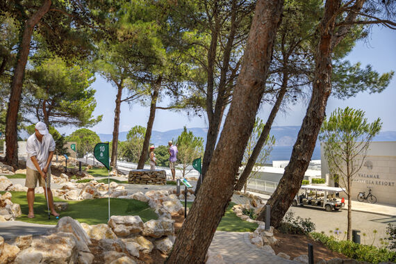 Valamar Girandella V Level  Villas