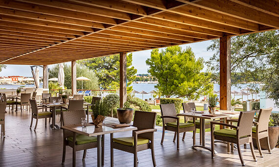 Oliva Grill